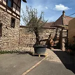 Guest house Gc Frankstein *