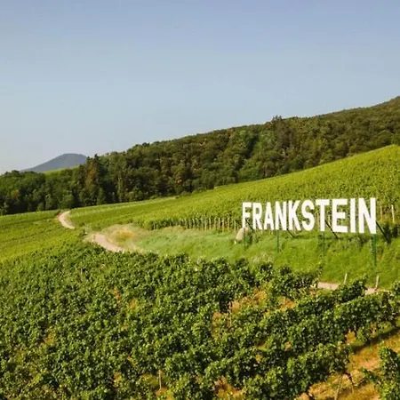 Gc Frankstein Guest house Dambach-la-Ville