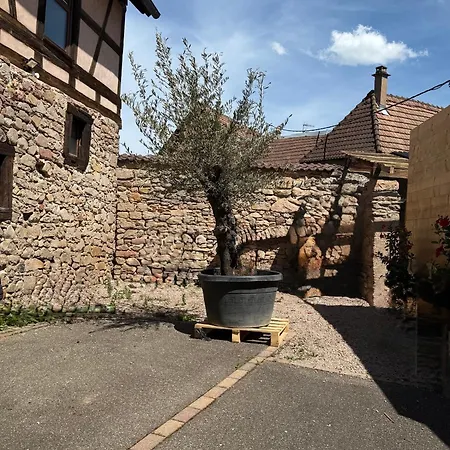 Guest house Gc Frankstein *