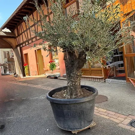 Gc Frankstein Guest house