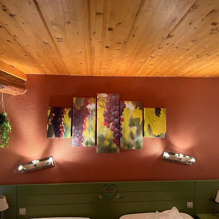 Gc Frankstein Dambach