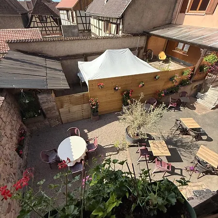 Gc Frankstein * Dambach