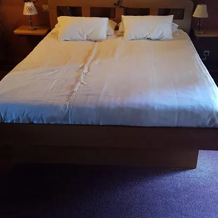 ゲストハウス Gc Frankstein Dambach